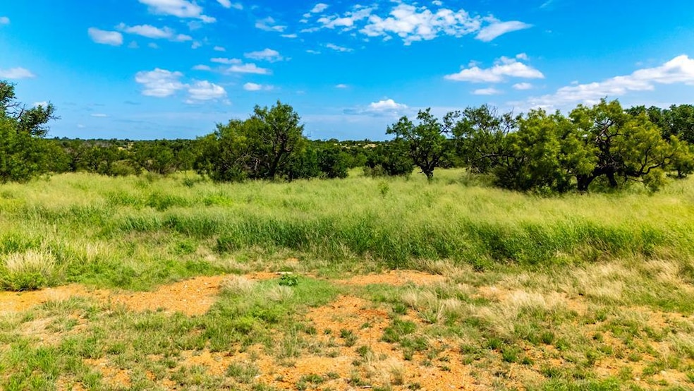 000 Jack Rabbit Rd unit 4, Doss, TX 78631 - photo 1
