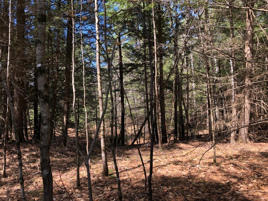 Lot 57 Waycross Way, Limerick, ME 04048 - photo 1