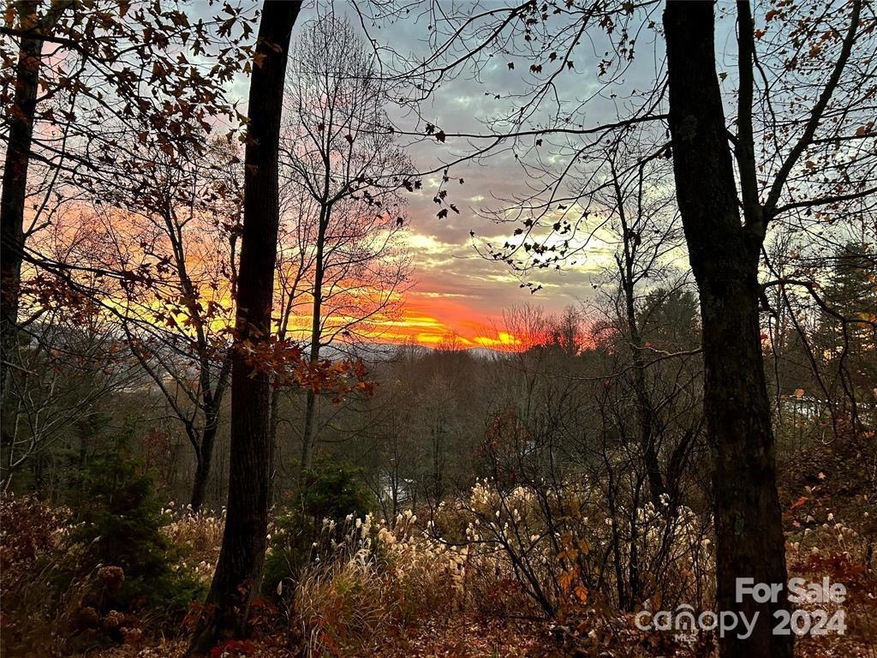 0 Corn Mountain Rd unit CAR4116876, Hendersonville, NC 28792 - photo 1