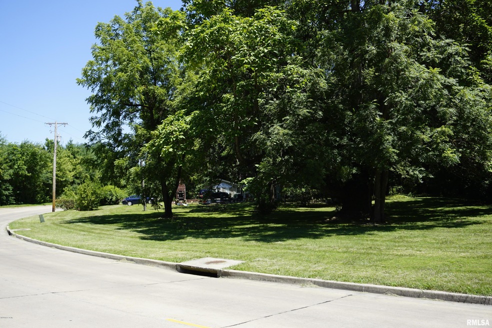 2209 Mchaney Rd, Harrisburg, IL 62946 - photo 1