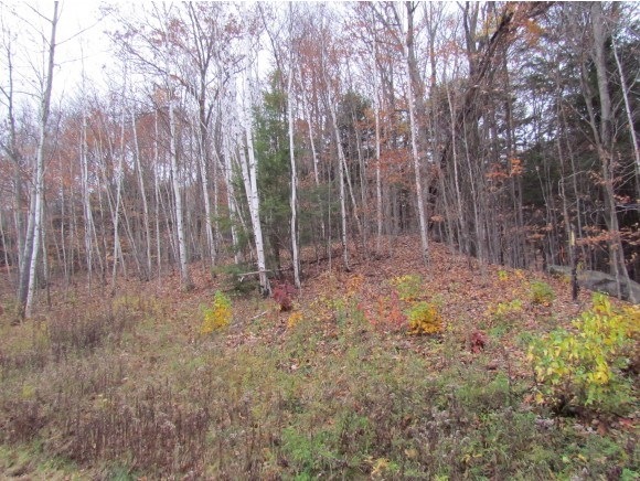 00 Cox Farm, Woodstock, NH 03262 - photo 1