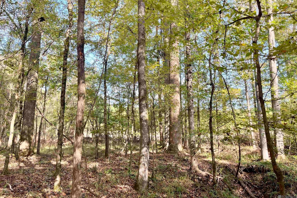 01 Stampley Rd, Roxie, MS 39661 - photo 1