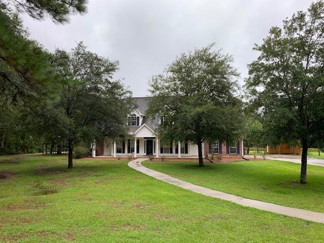 Main View
