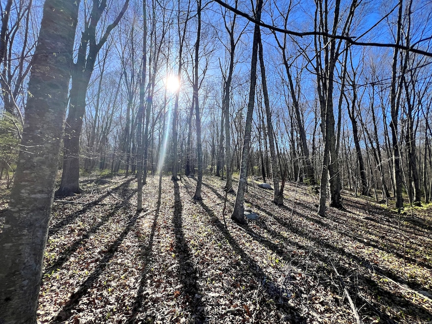 84 Hanover Versailles Rd, Sprague, CT 06330 - photo 1