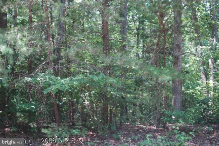 8900 Thornton Rolling Rd, Fredericksburg, VA 22408 - photo 1