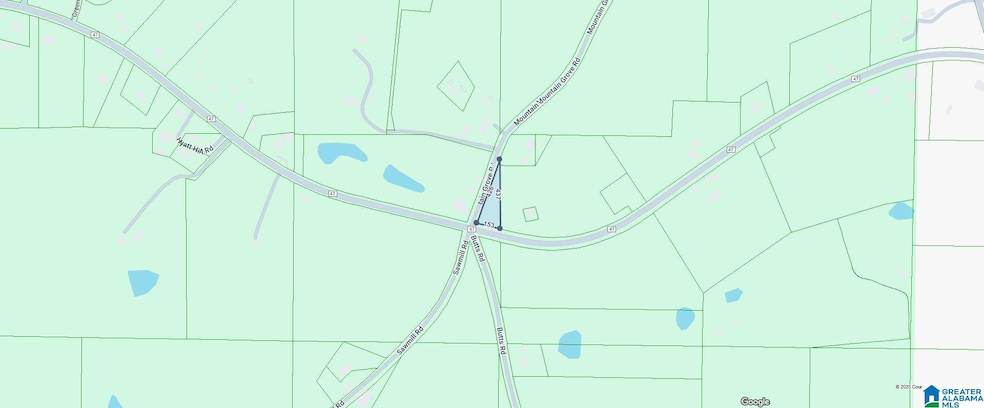 28 Mountain Grove Rd, Blountsville, AL 35031 - photo 1
