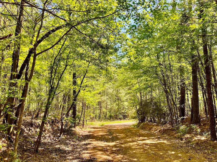 889 Fuller Cemetery E-2 Rd, Minden, LA 71055 - photo 1