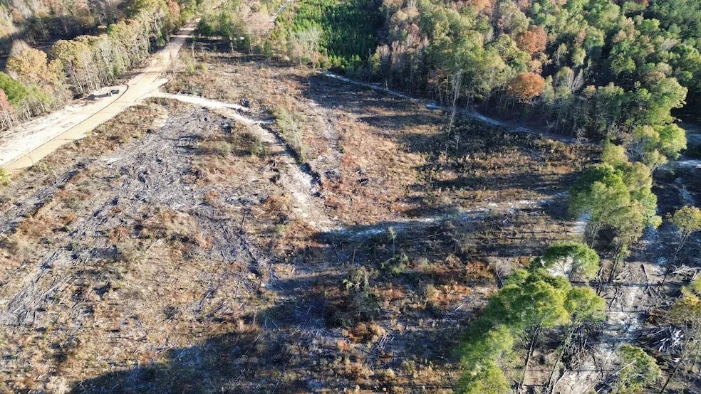 5 Gatewood Rd, Pittsview, AL 36871 - photo 1