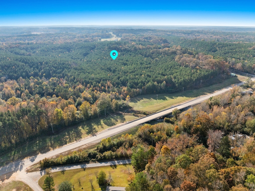 71 Acres Pikeville Rd, Fulton, MS 38843 - photo 1