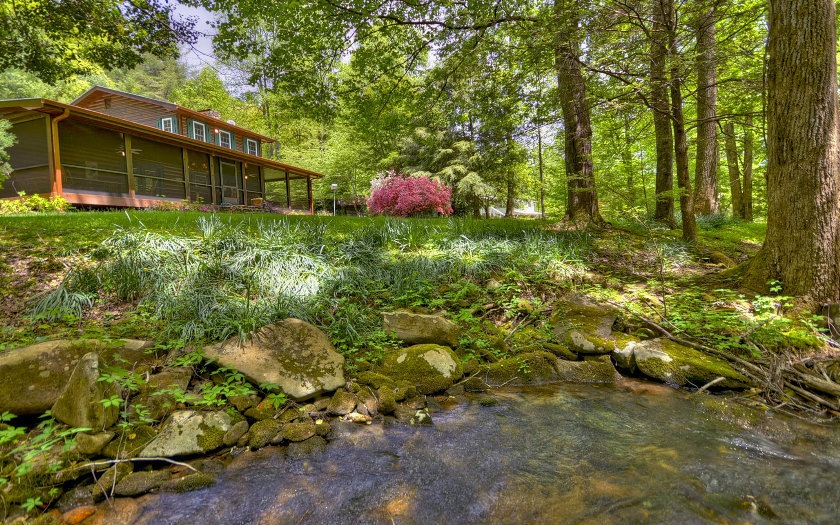 Main View
