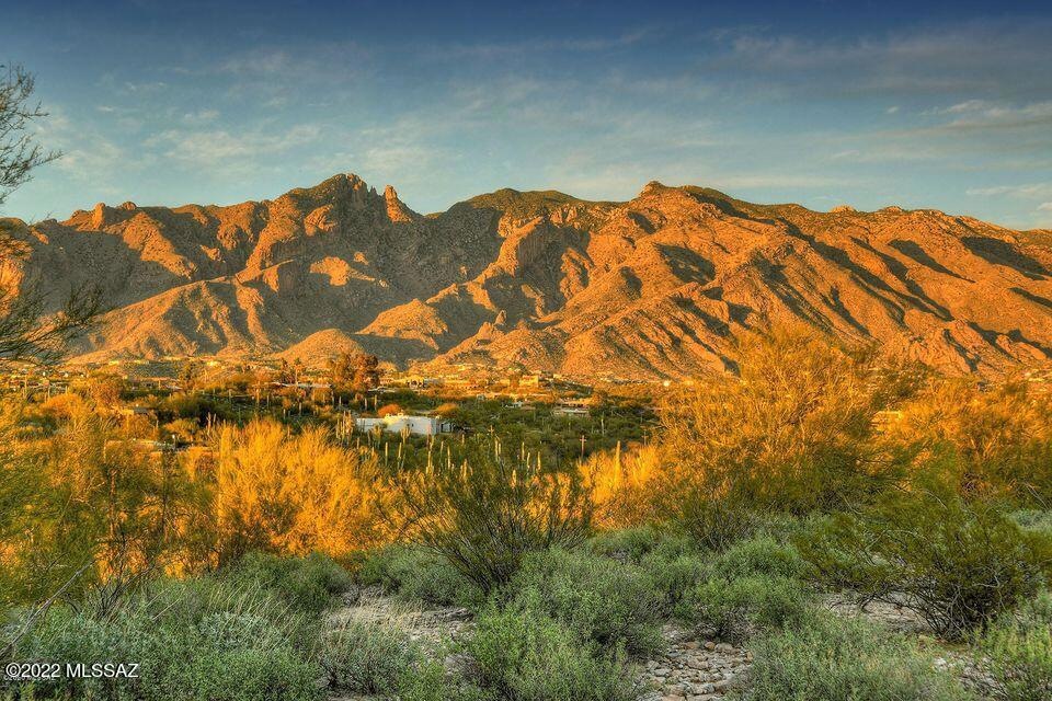 Glorious Catalina Mtn Views