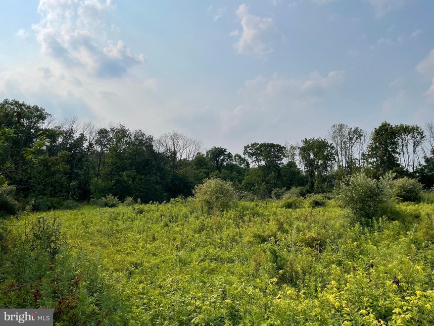 1484 Layfield Rd, Pennsburg, PA - photo 1