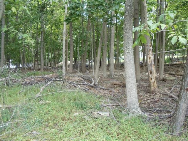 0 Sayer Rd unit ONEH4436136, Blooming Grove, NY 10914 - photo 1