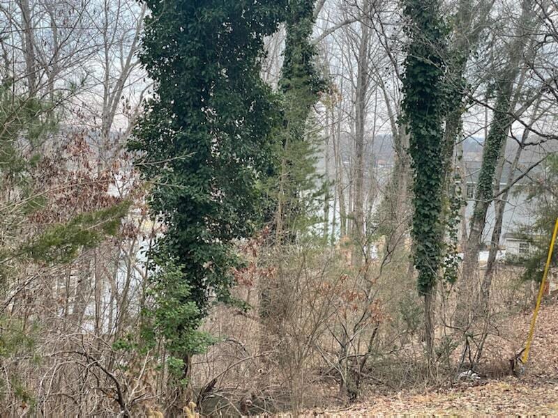 Lots 49/50 Overlook Cir, North Shore, VA 24121 - photo 1