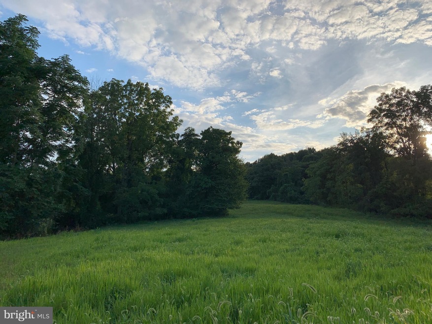 0 FT Valley Rd. Francis Thorton Valley Rd, Sperryville, VA - photo 1