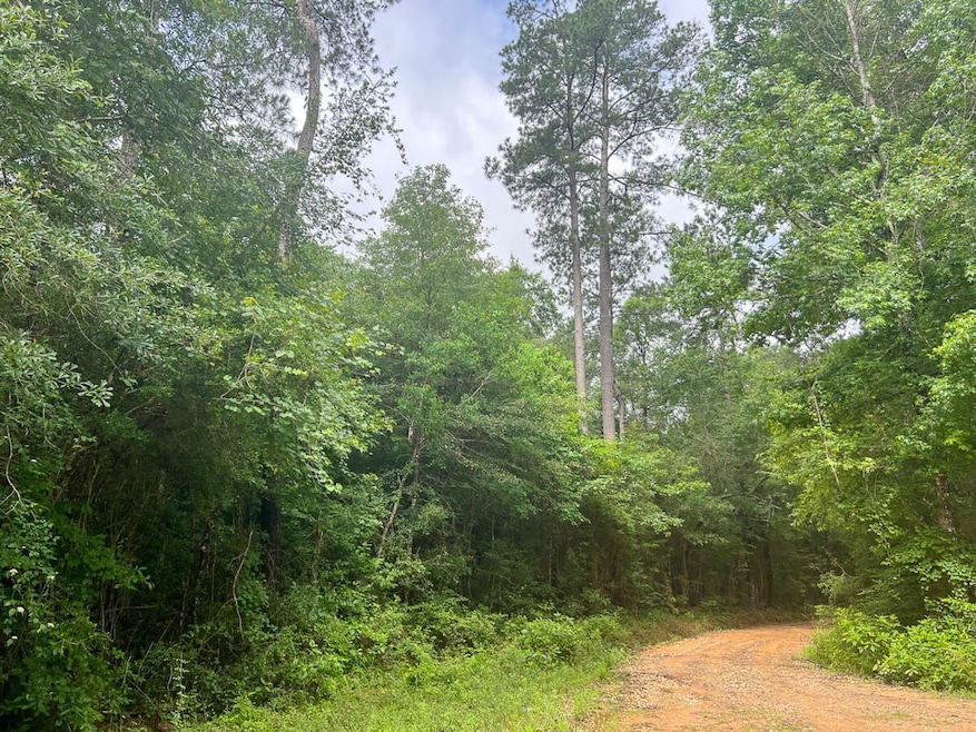 0 Bracken Cemetery Rd unit 22715433, Honey Island, TX 77625 - photo 1