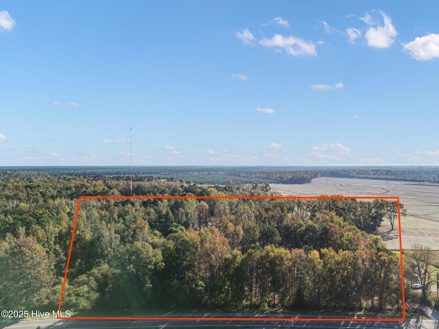 Lot D US Highway 117 Bypass S, Burgaw, NC 28425 - photo 1