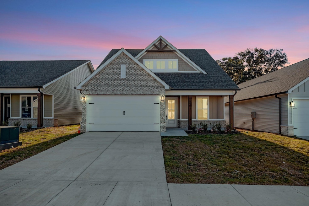 6602 Elizabeth Ann Way, Ooltewah, TN 37363 - photo 1