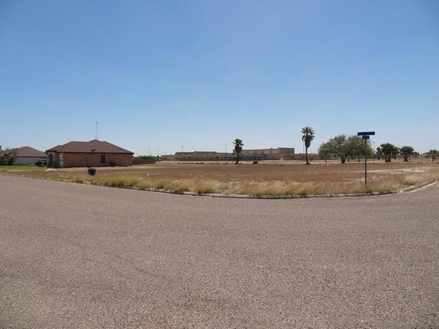 TBD Canary Island Ln, Alamo, TX 78516 - photo 1