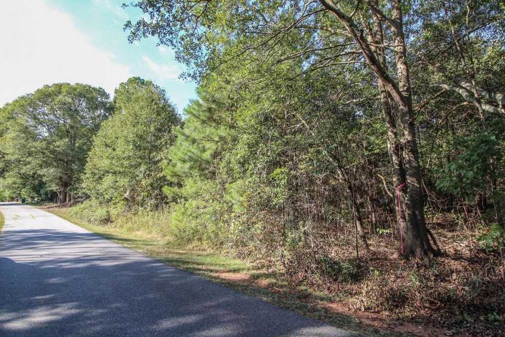 0 Rock St unit 10207554, Ila, GA 30633 - photo 1