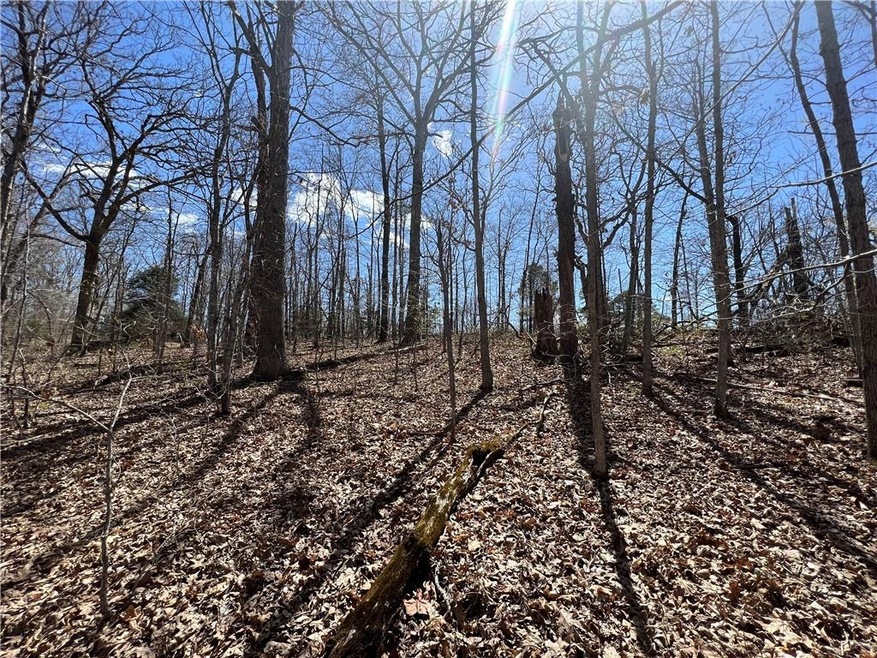 Lot 8 Ilsle Ln, Bella Vista, AR 72714 - photo 1