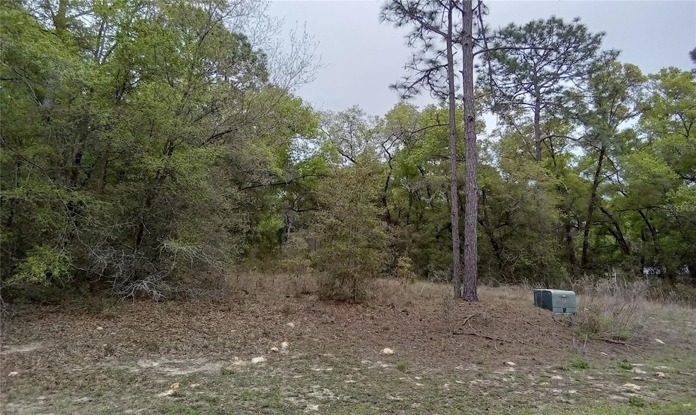 0 SW 197th Cir unit MFROM677547, Dunnellon, FL 34432 - photo 1