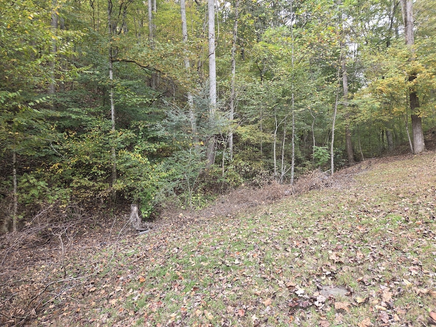 9436 Highway 100, Nashville, TN 37221 - photo 1