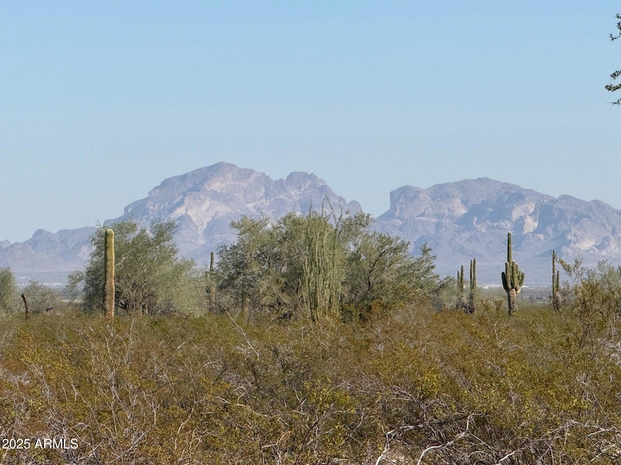 1180 557th Ave, Tonopah, AZ 85354 - photo 1