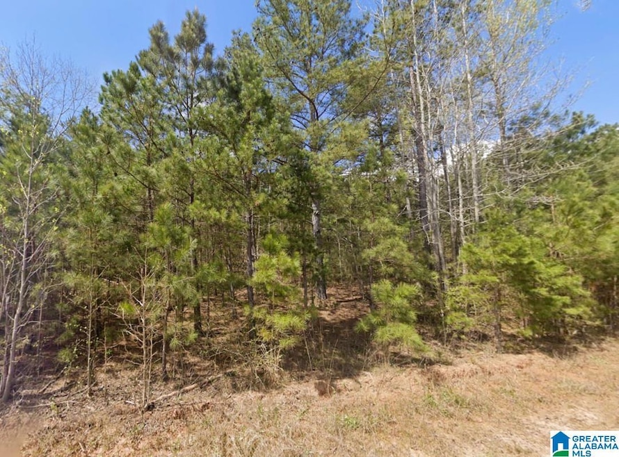 0 County Road 621 unit 21438044, Newell, AL 36280 - photo 1