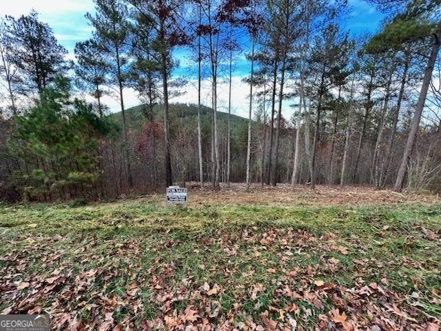 0 Ridge Peak View unit LOT 62 10312280, Blairsville, GA 30512 - photo 1