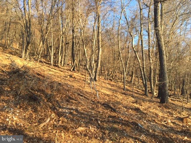 0 Rt 5 10 (Buffalo Hills Road), Franklin, WV 26807 - photo 1