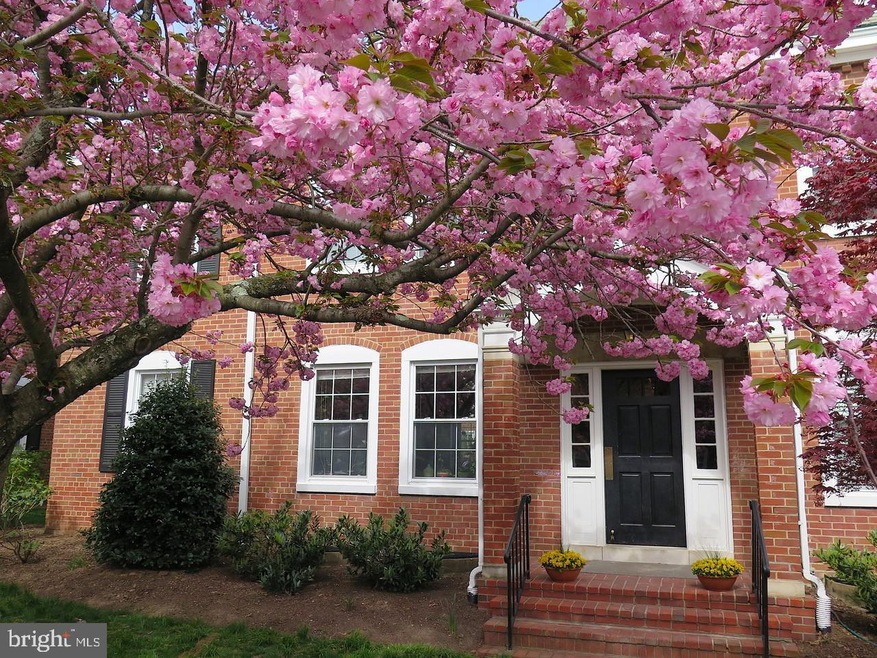 4520 36th St S unit A1, Arlington, VA 22206 - photo 1