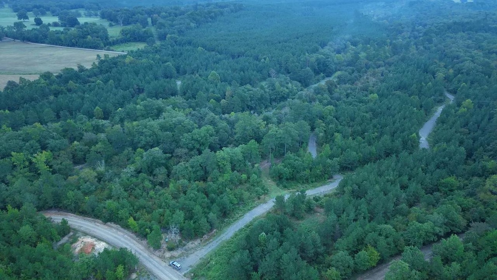 Lowrie Loop, Smithville, OK 74957 - photo 1