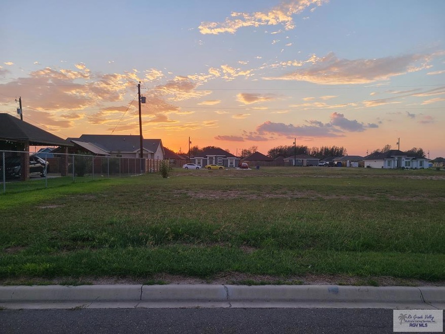 0 Dove St unit 29730350, Alamo, TX 78516 - photo 1