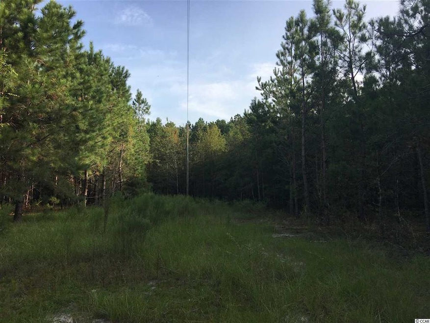 0 Whispering Hills Rd, Loris, SC 29569 - photo 1