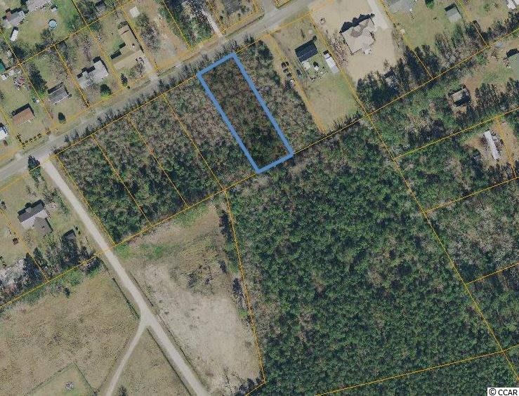 1535 Highway 548 unit Lot 5, Conway, SC 29527 - photo 1
