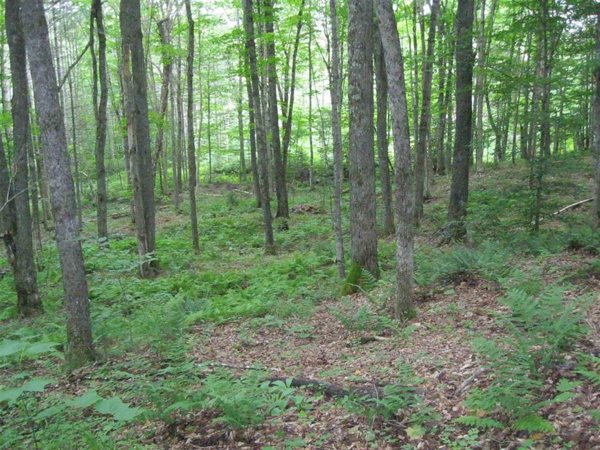 00 Crescent Beach Rd, Morgan, VT 05853 - photo 1