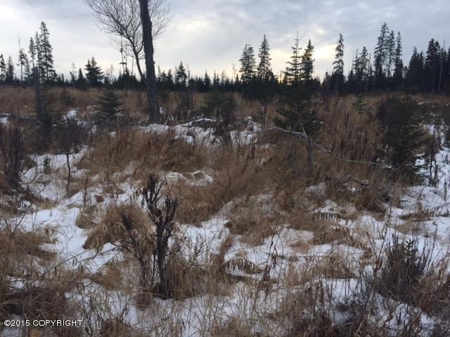 L6 Vince Rd, Anchor Point, AK 99556 - photo 1