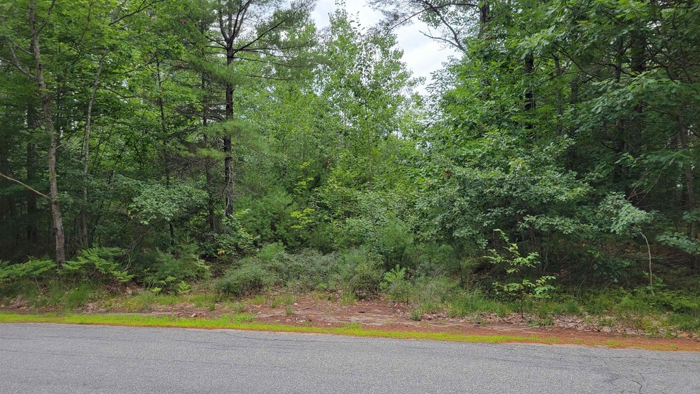 0 Pine River Rd, Effingham, NH 03882 - photo 1