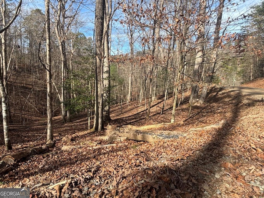 LT 727 Armor Ct, Ellijay, GA 30540 - photo 1
