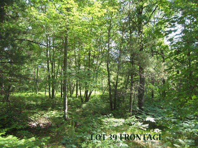 Lot 39 Cranberry Creek, New Lisbon, WI 53950 - photo 1