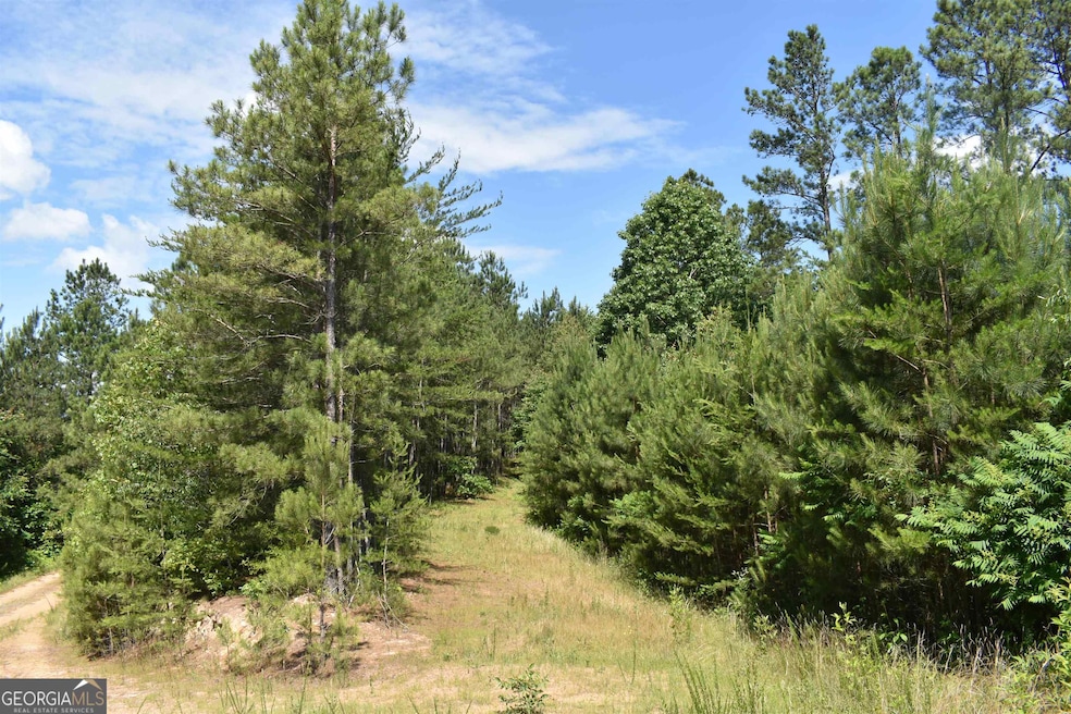 0 Nickelsville Rd NW unit 20148653, Resaca, GA 30735 - photo 1