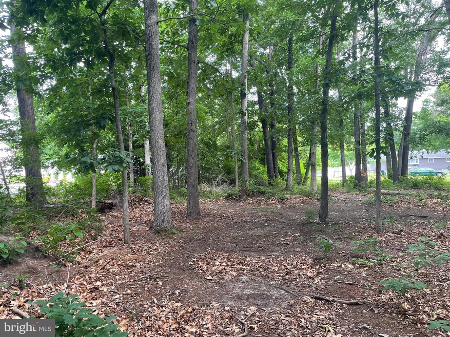 0 unit NJGL2043688, Glassboro, NJ 08028 - photo 1