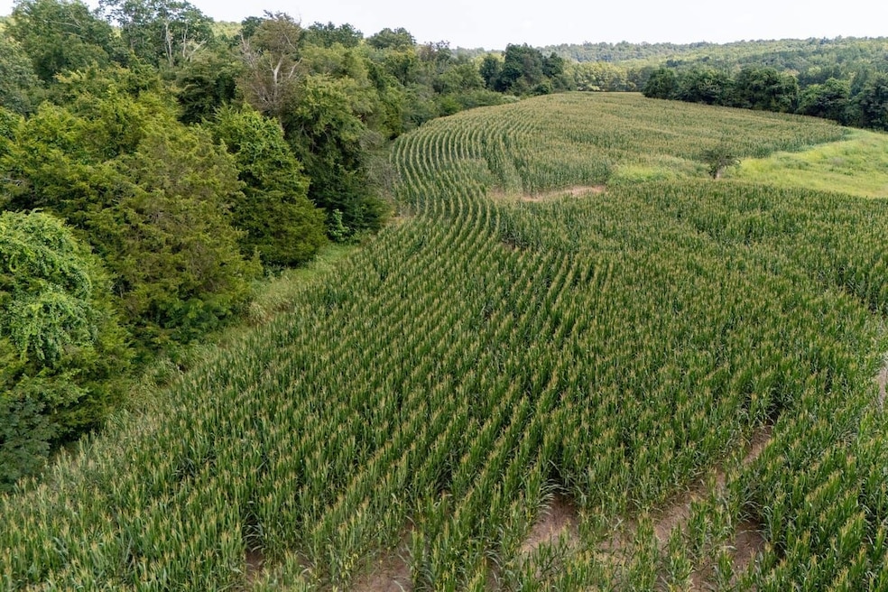 000 Shiloh Rd, Cobden, IL 62920 - photo 1