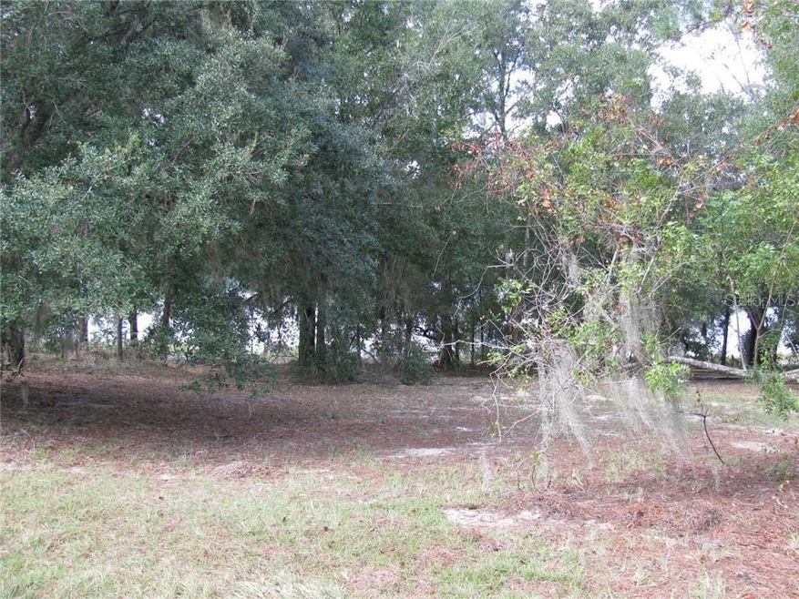 0 Malauka Loop unit G5027919, Ocklawaha, FL 32179 - photo 1