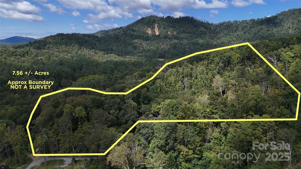 508 Old Bee Tree Rd, Swannanoa, NC 28778 - photo 1