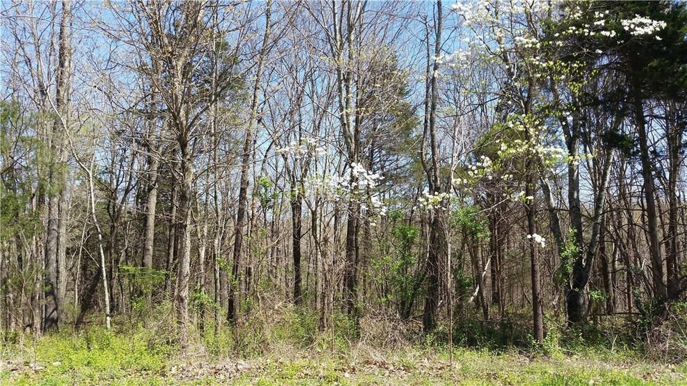 0 Saxilby Ln, Bella Vista, AR 72715 - photo 1