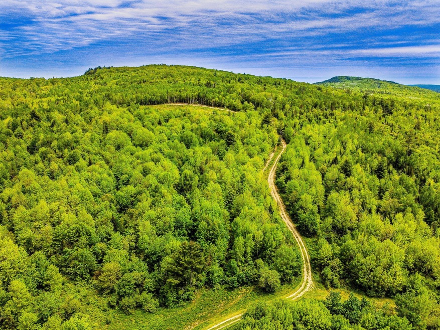 DJI_0582-HDR (sized)