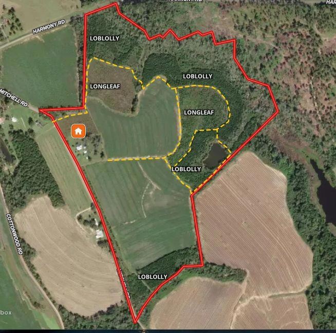 1168 Mitchell Road (112 Acres), Meigs, GA 31765 - photo 1