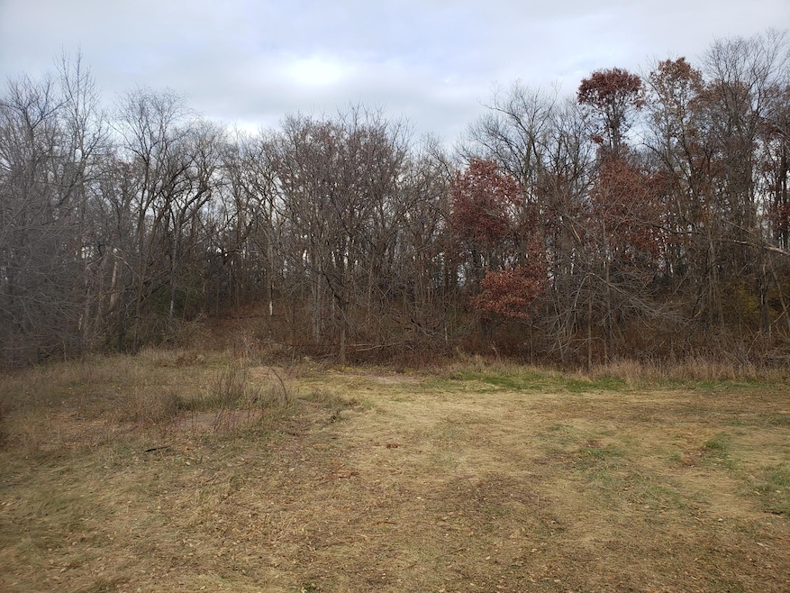 Lot 2 & 3 County Road M 202nd St, Alden Township, WI 54026 - photo 1